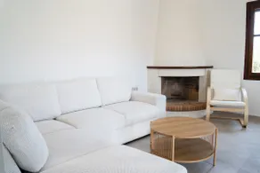Xenoula Suite - Image 5