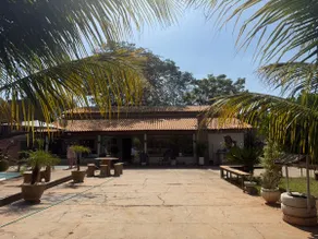 Pantanal farm - Image 3