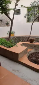 Casa Antonieta - Image 4