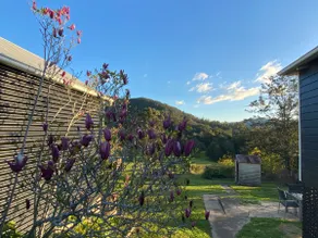 Misty Mountain Cottage - Image 5