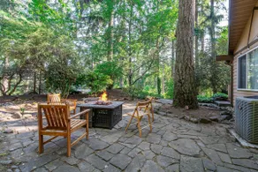 Bellevue Forest Haven Hideaway - Image 3