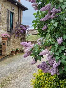 Il Greppo rustic charm Tuscan views & Hot Tub - Image 2