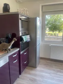 Maison 4 ch, jardin & dino, 5 min Fougères - Image 4