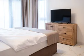 Apartment with a detached bedroom - Image 2