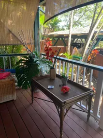 Cozy Hawaiian studio just minutes to the beach and town.  No minimum stay - Image 4
