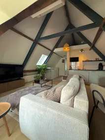 Luxe Airbnb apartment in Deventer - Image 2