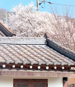 40 minutes from Gangnam, a hanok with a sunny yard and a yard that allows pets, Heedamjae. Each room has a separate toilet - Image 3