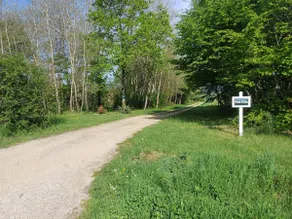 In the heart of nature in Sologne - Image 2