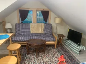 New Studio Apartment-4.7 miles to Jackson Gore! - Image 3