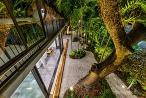 Miami Jungle Retreat | Luxury Wellness Oasis - Image 2