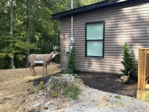 Cozy Lodge - Image 5
