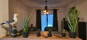 New 76 m² apartment at the gateway to the island of Usedom - Image 2