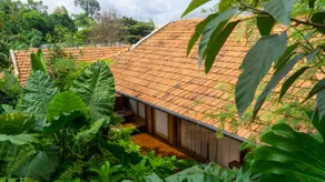 Botanic House | 300 Plant Species | Stream & Pool - Image 4