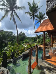 Royal Kemani Jungle View Ubud Country Side - Image 3