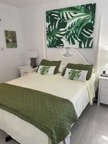 Reggae Villa in Columbus Heights - Image 2