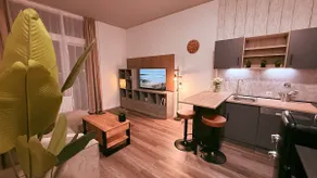 Mountain-Lodge | Moderne FeWo Bad Harzburg Harz - Image 5