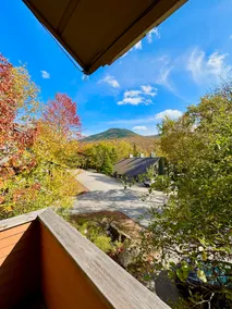 Cozy Oasis | Mountain Views + Ski Shuttle - Image 4