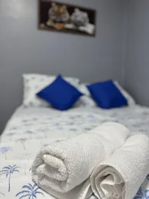 Loft manaus Santorini - Image 3