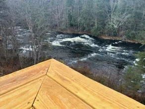 Water, woods, and wildlife - Image 5