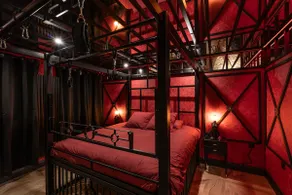 loveroom69 the dungeon - Image 2