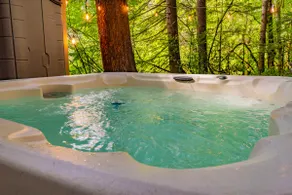 Rainier Vintage Retreat With Hot Tub-Fireplace-WiFi - Image 2