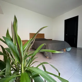Balita House in Coscomatepec CUOS - Image 3