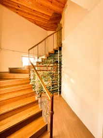 Arıca's House - Image 2