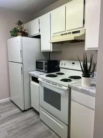 Affordable Modern Apartment Near A-State. - Image 3