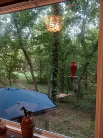 Cordwood Cottage w/ Sauna 15 minutes from I-70 - Image 5