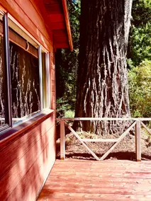 Beautiful Redwood Cabin with Sauna! - Image 3