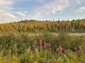 Iona’s Historical Cabin on the Baptism River - Image 4