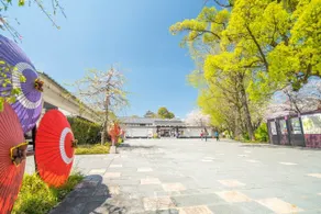 A comfortable stay in Kumamoto with *free parking* and a clean space for couples and small groups Good access to Aso, Kumamoto Castle, and downtown - Image 5