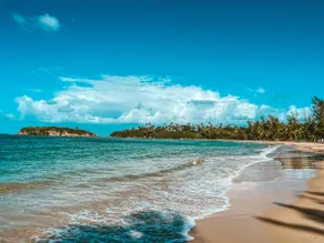 Coastal Vibes 3 – Tropical Escape • Sleeps 8 - Image 3