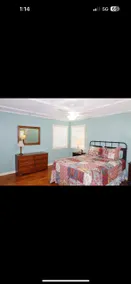 Persimmon Place - Image 3