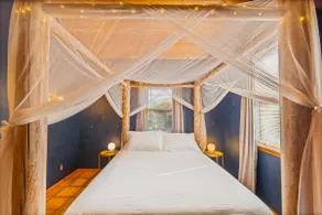Stargazer, King Canopy bed, park set - Image 5