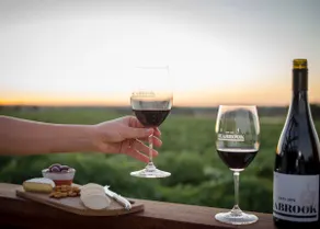 Seabrook Vineyard Retreat - Image 1