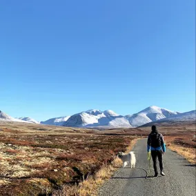 Rondane | Spacious cabin – hiking trails right outside - Image 2