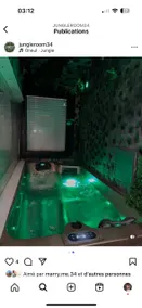 Jungle suite 2 - Image 2