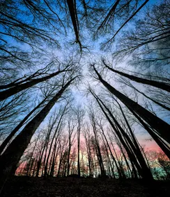 The Great Escape - adventure & relaxation await. - Image 5