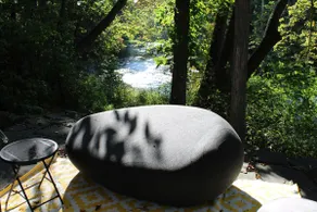 River Nest - Image 5