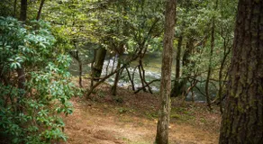 Peaceful Mountain town Creek Escape w/private pool - Image 4