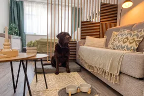 Old Town Apartment at the Broad Tower - Image 4