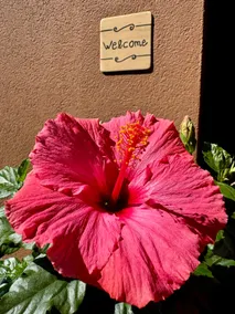 Ibisco House, the apartment in the heart of the valley - Image 5