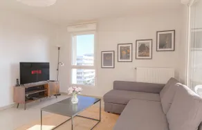 Charming and Spacious near Groupama Stadium - Image 2