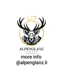 Alpenglanz Deluxe - modern & quiet near Vaduz - Image 4