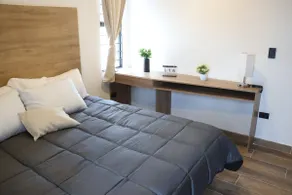 Experience Aguascalientes in comfort and style - Image 5