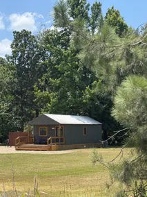 Secluded Pine Cabin - Cozy & Peaceful Getaway - Image 2