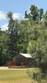 Secluded Pine Cabin - Cozy & Peaceful Getaway - Image 3
