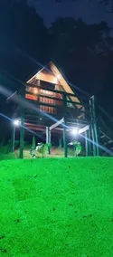 cabin with forest view - Image 2