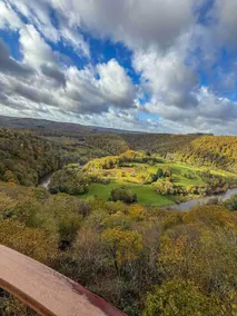 Cozy apartment, Ardennes, Dog-friendly|Vida Feliz - Image 5